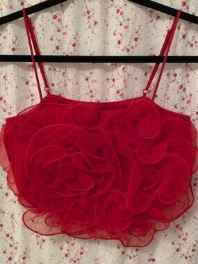 EXPRESS Red Cropped Camisole Tank with Floral Tulle 3D Applique- Size XS